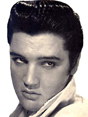 Elvis Portrait
