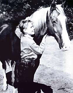 My Friend Flicka